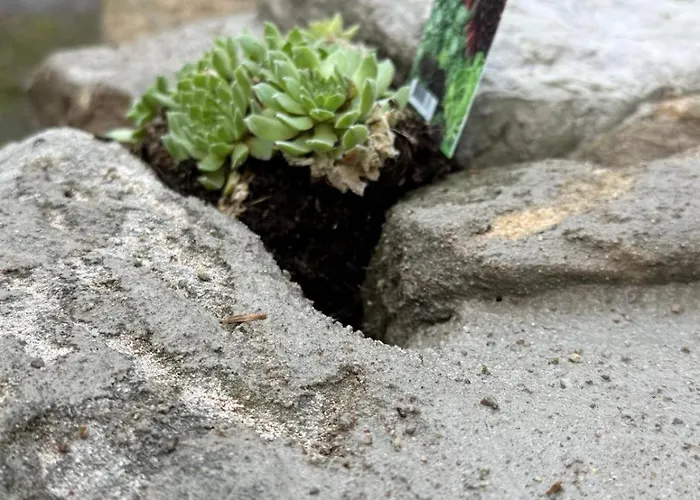 Break Time Holidays Koenigsee, Ein Juwel Im Thueringer Wald *